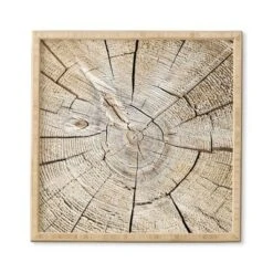 Lisa Argyropoulos Wood Cut Bamboo Framed Wall Art - Deny Designs -Home Decor Store GUEST 130dd373 4286 4b79 b897 c65a04229e7c