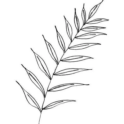 Kris Kivu Botanical Line Art Ink Leaf Shower Curtain White - Deny Designs 4 Kris Kivu Botanical Line Art Ink Leaf Shower Curtain White - Deny Designs - Image 2