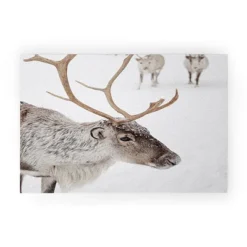 Henrike Schenk Travel Photography Reindeer With Antlers Art Print Tromso Norway Animal Snow Photo Welcome Mat - Society6 11 Henrike Schenk Travel Photography Reindeer With Antlers Art Print Tromso Norway Animal Snow Photo Welcome Mat - Society6 -Home Decor Store GUEST 3ae5afca 8840 4ce4 8a57 16634c724e3e