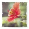 Bree Madden Hibiscus Square Floor Pillow - Deny Designs 1 Bree Madden Hibiscus Square Floor Pillow - Deny Designs -Home Decor Store GUEST 70059e88 a3af 4e99 9c48 b575a417b6da