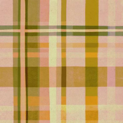 Alisa Galitsyna Colorful Plaid I Shower Curtain Pink - Deny Designs 4 Alisa Galitsyna Colorful Plaid I Shower Curtain Pink - Deny Designs - Image 2